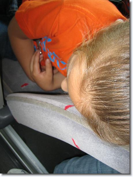 Diapositiva siguiente